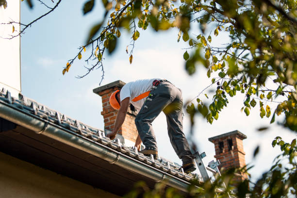 Best Roof Repair Services  in Pigeon, MI