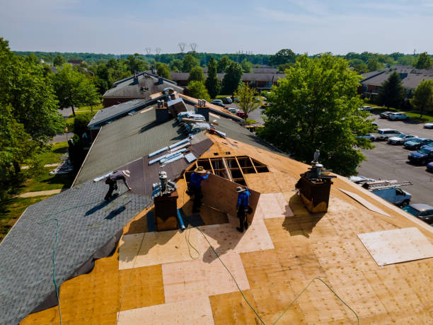 Best Commercial Roofing Services  in Pigeon, MI