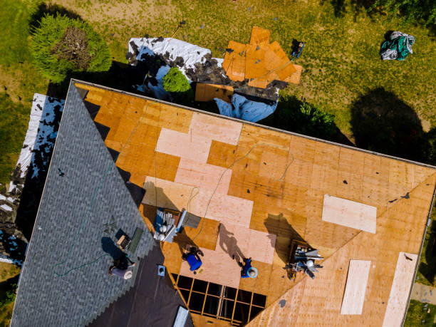 Best New Roof Installation  in Pigeon, MI