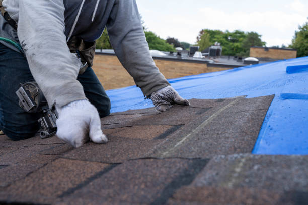 Best Roof Leak Repair  in Pigeon, MI