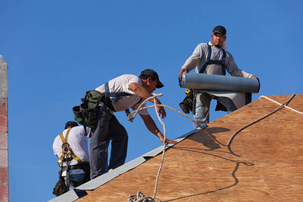 Best Roof Maintenance Services  in Pigeon, MI