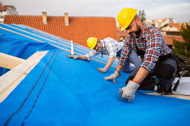 Roof Installation Near Me in Pigeon, MI