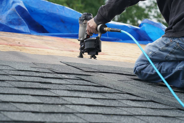 Roof Repair Estimates in Pigeon, MI